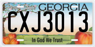 GA license plate CXJ3013