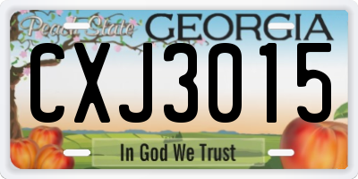 GA license plate CXJ3015