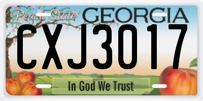 GA license plate CXJ3017