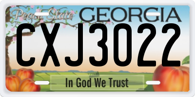GA license plate CXJ3022