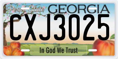 GA license plate CXJ3025