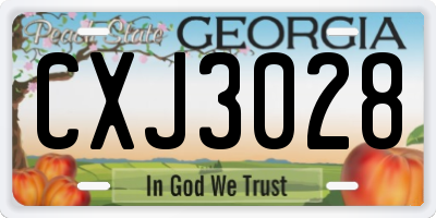 GA license plate CXJ3028