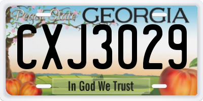 GA license plate CXJ3029