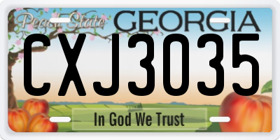 GA license plate CXJ3035