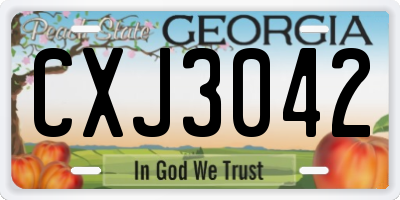 GA license plate CXJ3042