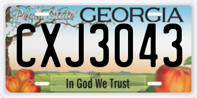 GA license plate CXJ3043