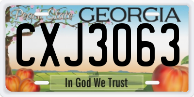 GA license plate CXJ3063