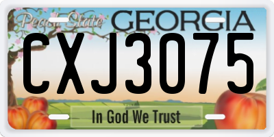 GA license plate CXJ3075