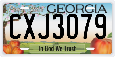 GA license plate CXJ3079