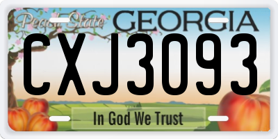 GA license plate CXJ3093