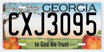 GA license plate CXJ3095