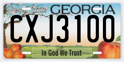 GA license plate CXJ3100