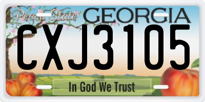 GA license plate CXJ3105