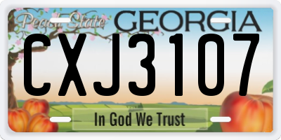 GA license plate CXJ3107