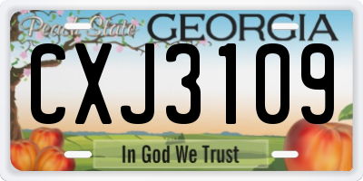 GA license plate CXJ3109
