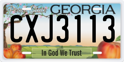 GA license plate CXJ3113