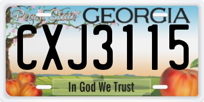 GA license plate CXJ3115
