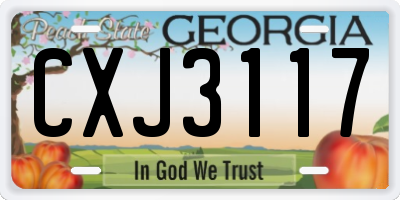 GA license plate CXJ3117