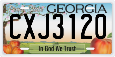 GA license plate CXJ3120