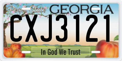 GA license plate CXJ3121