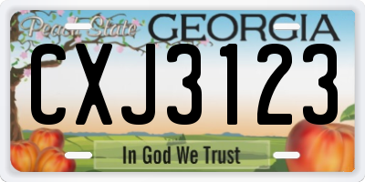 GA license plate CXJ3123