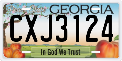 GA license plate CXJ3124