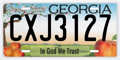 GA license plate CXJ3127