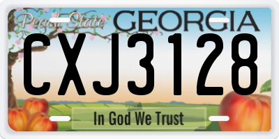 GA license plate CXJ3128