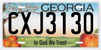GA license plate CXJ3130