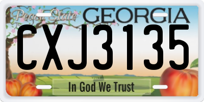GA license plate CXJ3135