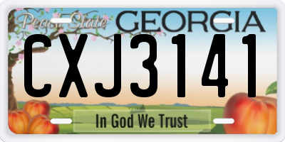 GA license plate CXJ3141