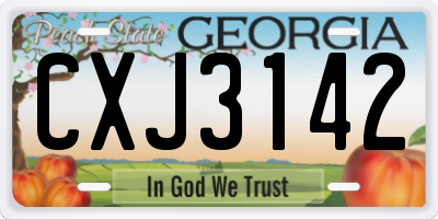 GA license plate CXJ3142