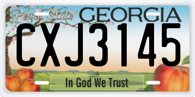 GA license plate CXJ3145