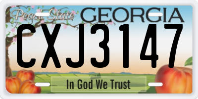 GA license plate CXJ3147