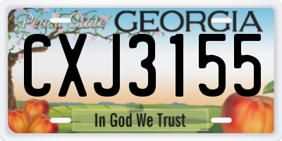 GA license plate CXJ3155