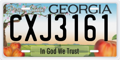 GA license plate CXJ3161