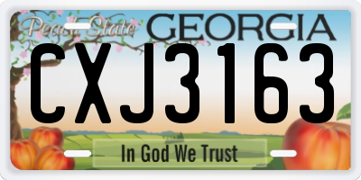GA license plate CXJ3163