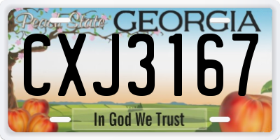 GA license plate CXJ3167