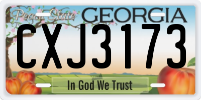 GA license plate CXJ3173
