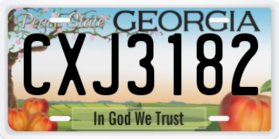 GA license plate CXJ3182
