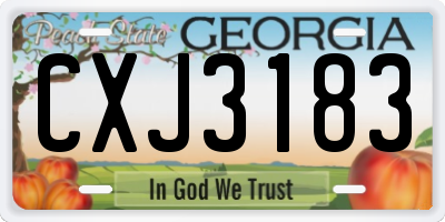 GA license plate CXJ3183