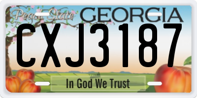 GA license plate CXJ3187