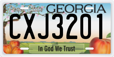 GA license plate CXJ3201