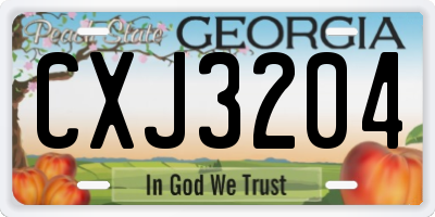 GA license plate CXJ3204