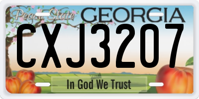 GA license plate CXJ3207
