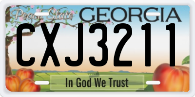 GA license plate CXJ3211