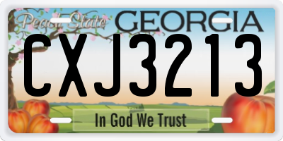 GA license plate CXJ3213