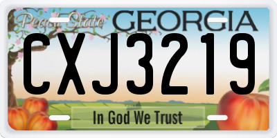 GA license plate CXJ3219