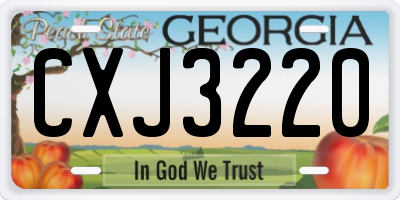 GA license plate CXJ3220
