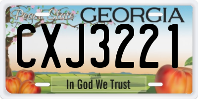 GA license plate CXJ3221